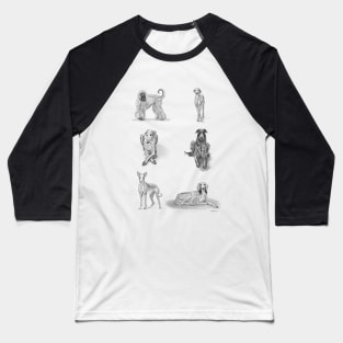 Sighthounds Baseball T-Shirt